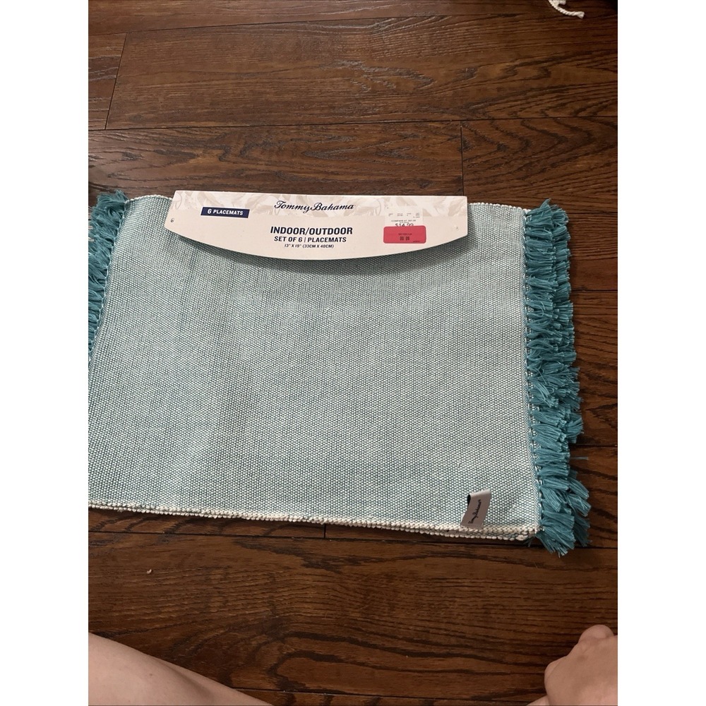 Set of 6 Teal/White Indoor/Outdoor Placemats 13x19 inches